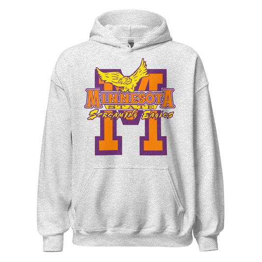 A 70s style ash gray travel hooded sweatshirt that says "Minnesota State Screaming Eagles" with a huge orange and purple "M" logo for Minnesota State University and a golden eagle. From the the 1980s-1990s TV sitcom "Coach".